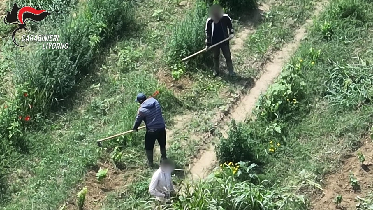 Caporalato, i controlli con i droni