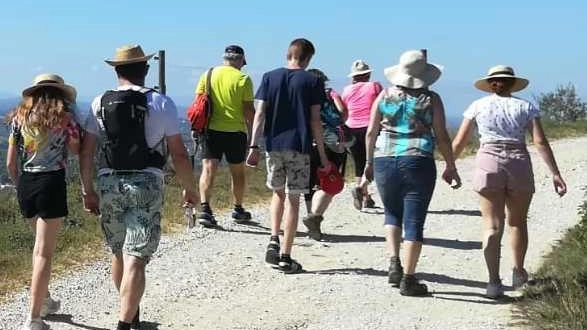 Durante l'estate, Lamporecchio offre visite guidate gratuite in italiano e inglese per i turisti stranieri. Gli itinerari includono luoghi storici e aziende agricole locali. Prenotazioni obbligatorie. Durante l'estate, Lamporecchio offre visite guidate gratuite in italiano e inglese per i turisti stranieri. Gli itinerari includono luoghi storici e aziende agricole locali. Prenotazioni obbligatorie.