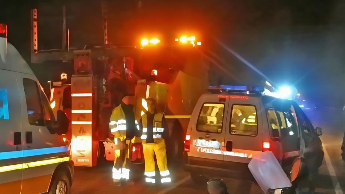 https://www.lanazione.it/image-service/view/acePublic/alias/contentid/ZjhmMzQ4OGQtMGIyZC00/0/ucciso-dal-bus-autista-condannato-la-vittima-soccorreva-un-capriolo-impatto-fatale-anche-a-bassa-velocita.jpeg?f=16:9&w=1200&h=630