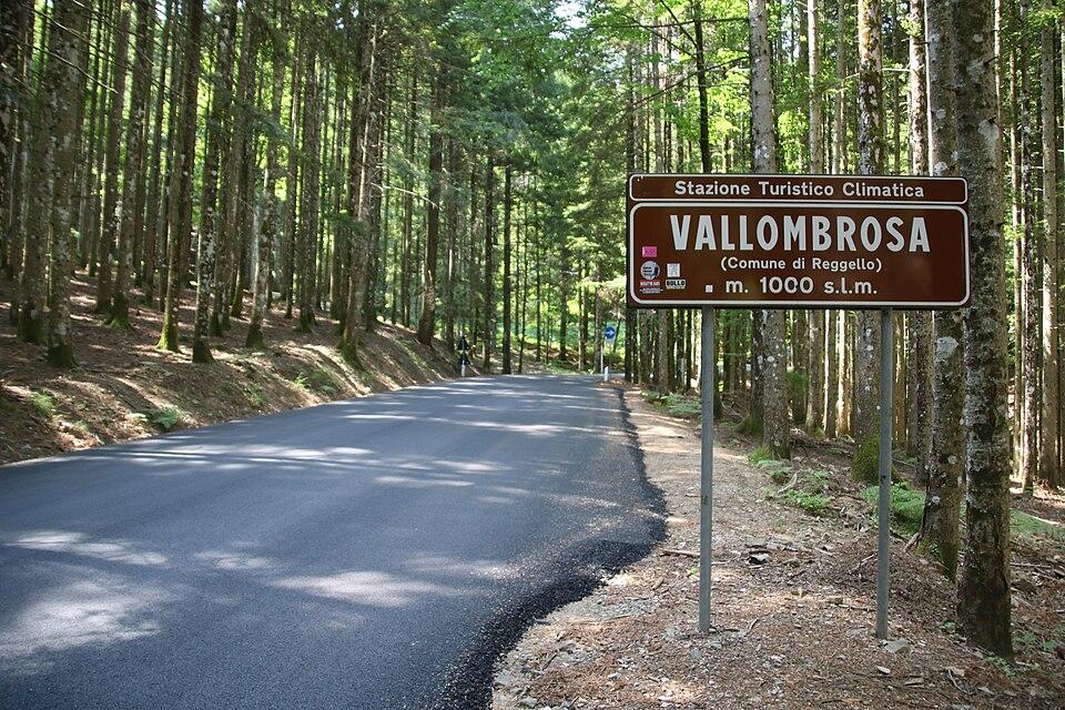 alla scoperta di una foresta millenaria torna il festival a vallombrosa ecco tutti gli eventi