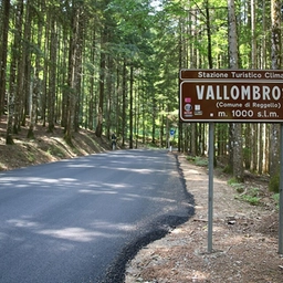 Alla scoperta di una foresta millenaria, torna il festival a Vallombrosa. Ecco tutti gli eventi