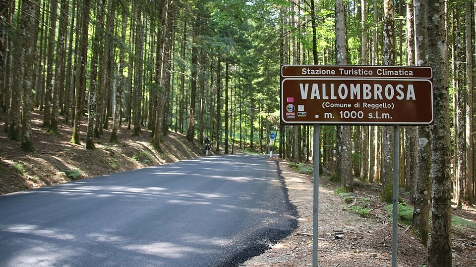 Alla scoperta di una foresta millenaria, torna il festival a Vallombrosa. Ecco tutti gli eventi