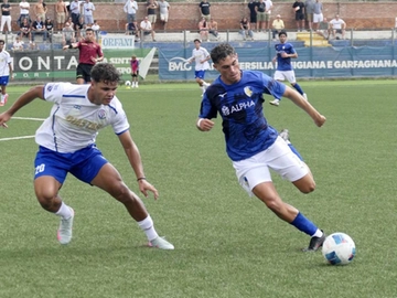 immagine articolo