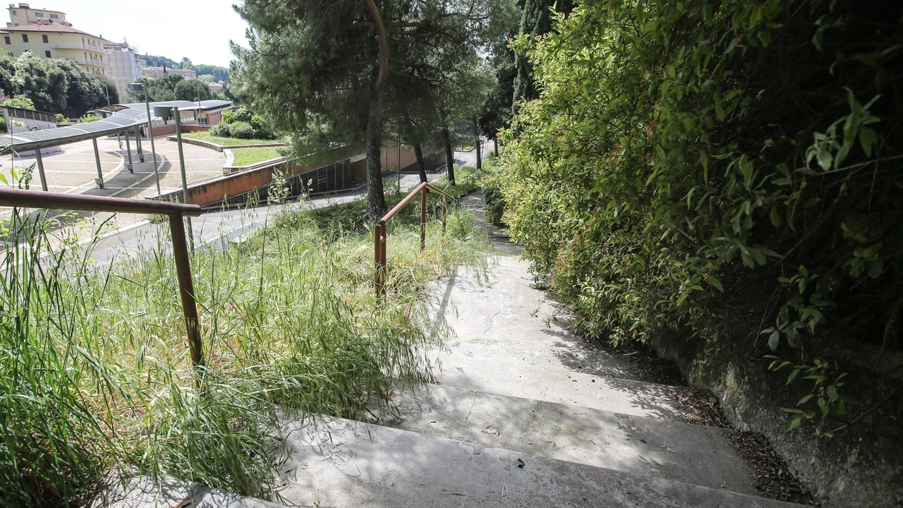 Ci risiamo: con l’arrivo della bella stagione Perugia deve ancora una volta fare i conti con il verde selvaggio. E... Ci risiamo: con l’arrivo della bella stagione Perugia deve ancora una volta fare i conti con il verde selvaggio. E...