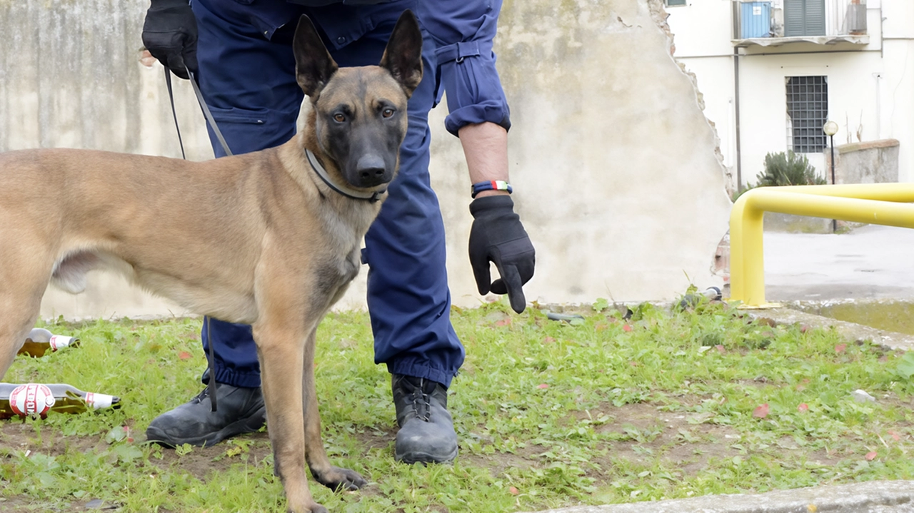Uno straniero è stato fermato e identificato in città dalla Polizia municipale Uno straniero è stato fermato e identificato in città dalla Polizia municipale