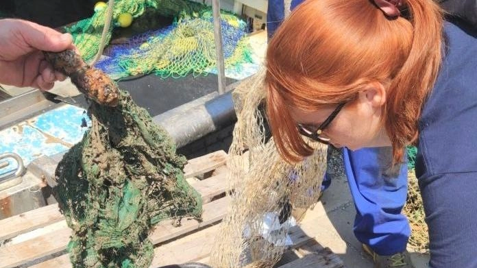 Lavoro corale di Isde, Legambiente e Centro sub Alto Tirreno. Collaborazione con l’Università di Firenze. Scuole protagoniste. Lavoro corale di Isde, Legambiente e Centro sub Alto Tirreno. Collaborazione con l’Università di Firenze. Scuole protagoniste.