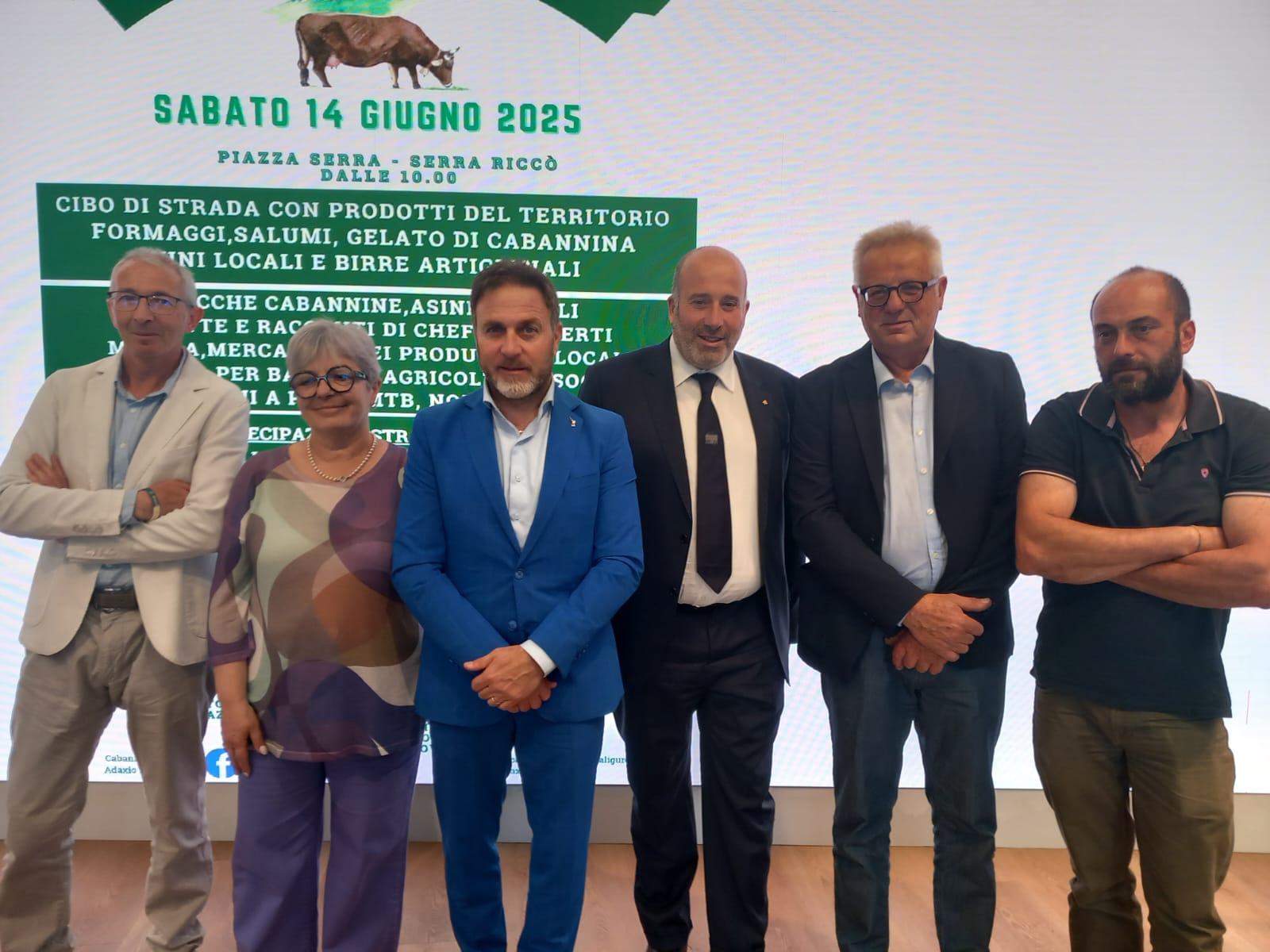 Regione Liguria, oltre 430mila euro a supporto della mucca Cabannina Regione Liguria, oltre 430mila euro a supporto della mucca Cabannina