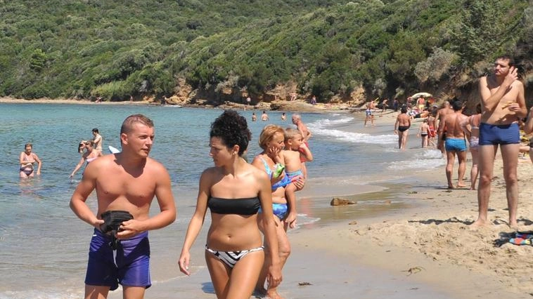 La spiaggia di Cala Violina La spiaggia di Cala Violina