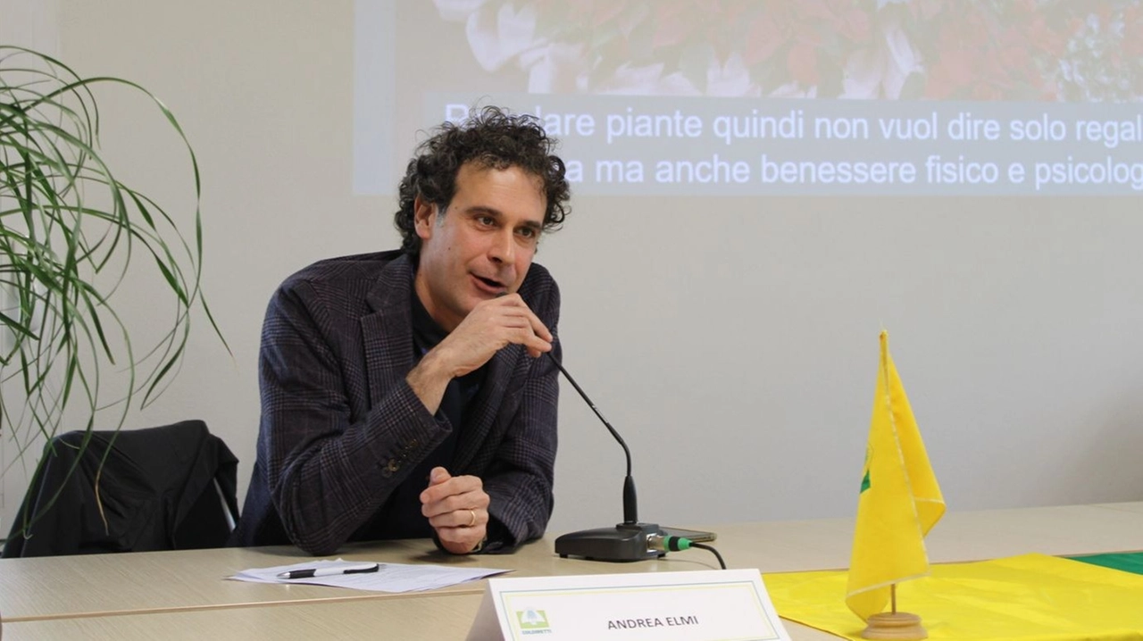 Il presidente Elmi: “Battaglia per l’olio extravergine, perché non riguarda solamente gli agricoltori lucchesi ma in generale tutti i consumatori”