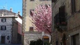 La festa patronale di Sant’Anna…raddoppia sempre. Appuntamento a Vivo d’Orcia (il paese posto più in alto nel cono amiatino) con... La festa patronale di Sant’Anna…raddoppia sempre. Appuntamento a Vivo d’Orcia (il paese posto più in alto nel cono amiatino) con...