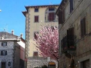 immagine articolo