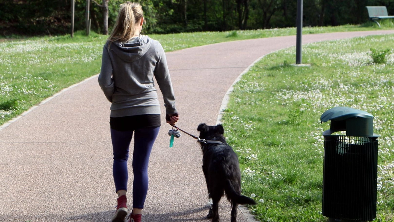 A passeggio con il cane