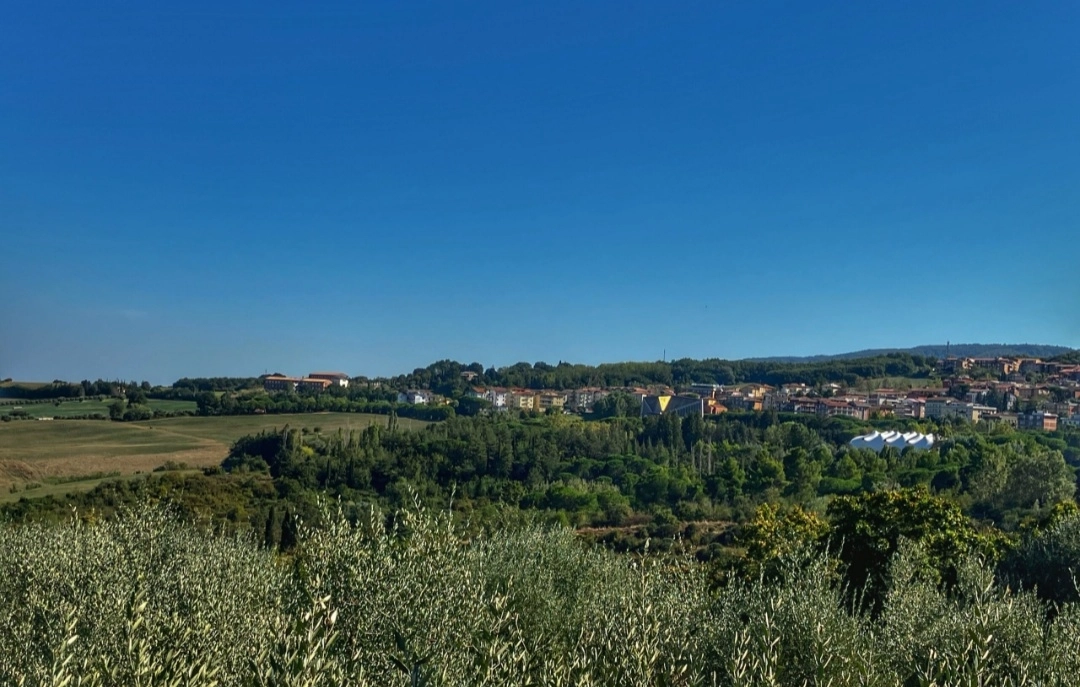 immagine di sfondo 2