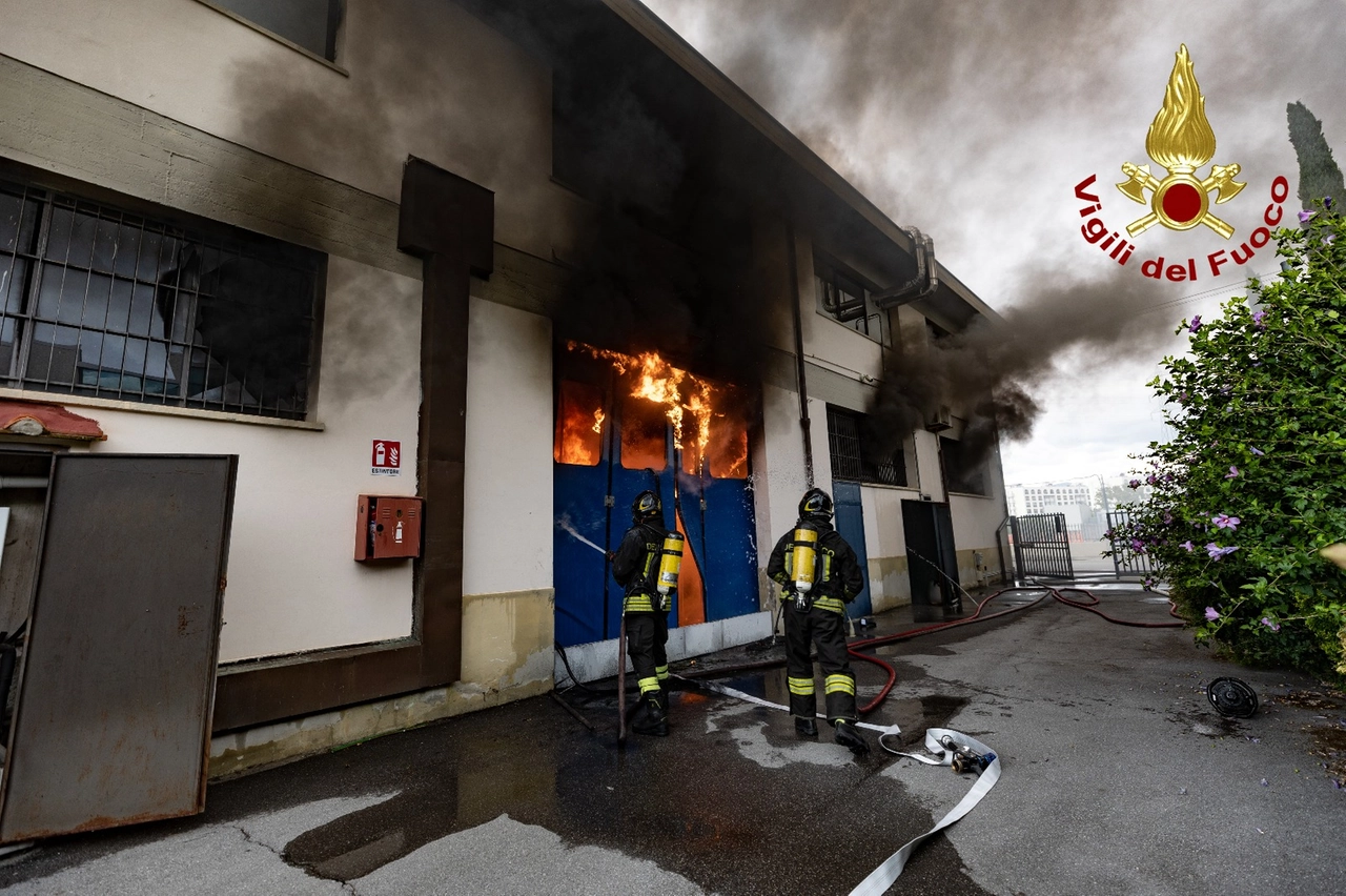 immagine di sfondo 8