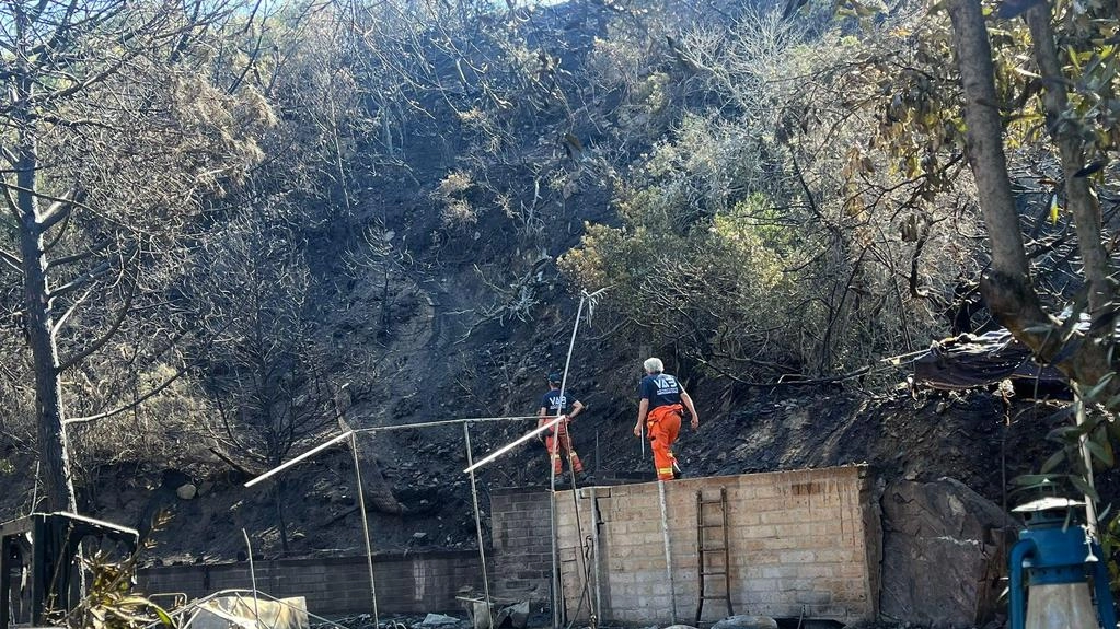Il sindaco: "Gestione dell’emergenza impeccabile, la macchina operativa ha funzionato benissimo" Il sindaco: "Gestione dell’emergenza impeccabile, la macchina operativa ha funzionato benissimo"