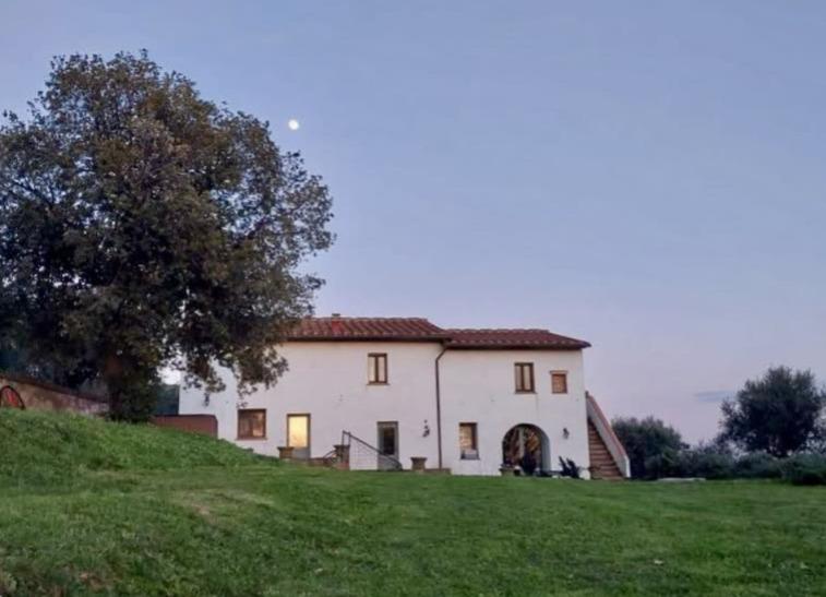 https://www.lanazione.it/image-service/view/acePublic/alias/contentid/ZmFiOGU3ZWQtYmEyZi00/0/la-ciliegia-azienda-agricola-che-sorge-proprio-in-via-panieretta.jpeg?f=1.91:1&w=1200