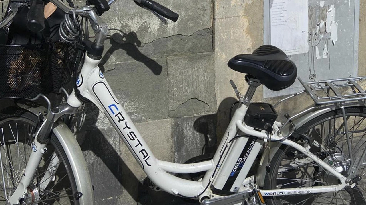 Manuela Francioni ha pubblicato anche sui social la sua bicicletta sperando che qualcuno magari la ritrovi abbandonata da qualche parte Manuela Francioni ha pubblicato anche sui social la sua bicicletta sperando che qualcuno magari la ritrovi abbandonata da qualche parte