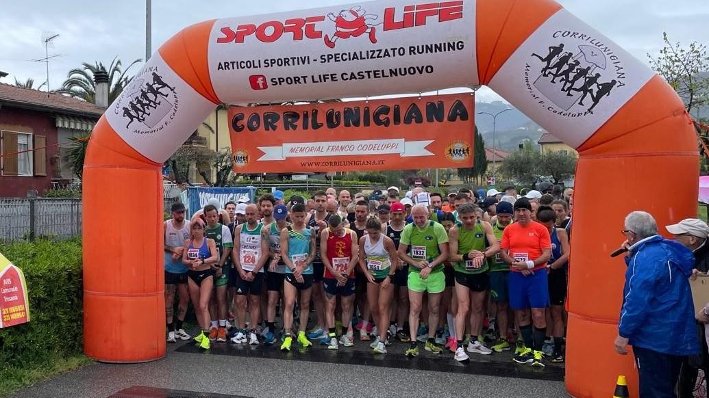 memorial codeluppi nel nome di paglionico