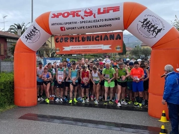 immagine articolo