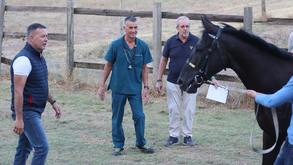 palio giornata di previsite al ceppo parlano i fantini