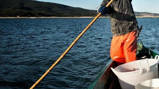 La laguna è un ambiente delicatissimo