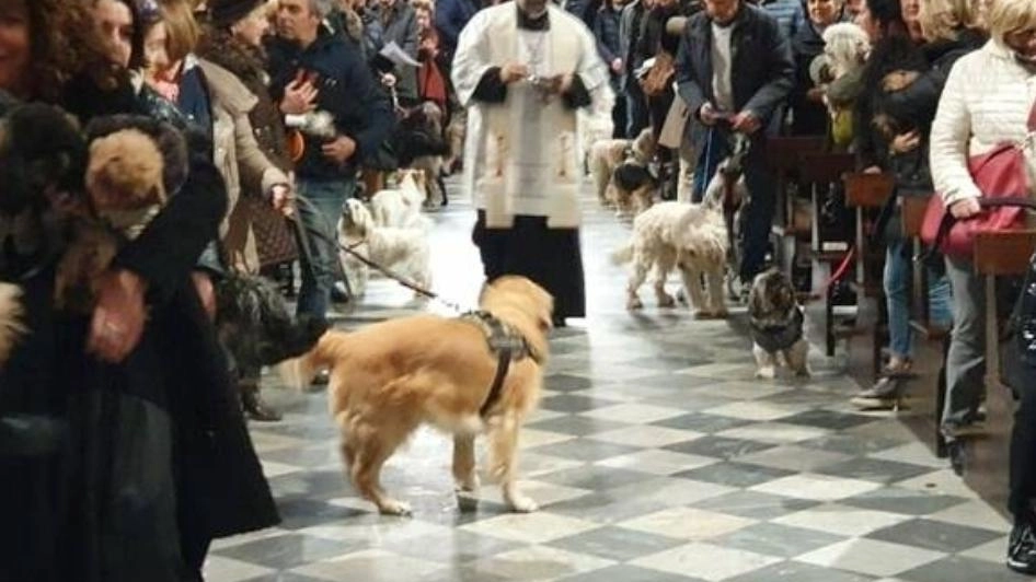 Promossa dall’Anpana nella chiesa di San Pietro Somaldi. Appuntamento alle 15 Promossa dall’Anpana nella chiesa di San Pietro Somaldi. Appuntamento alle 15
