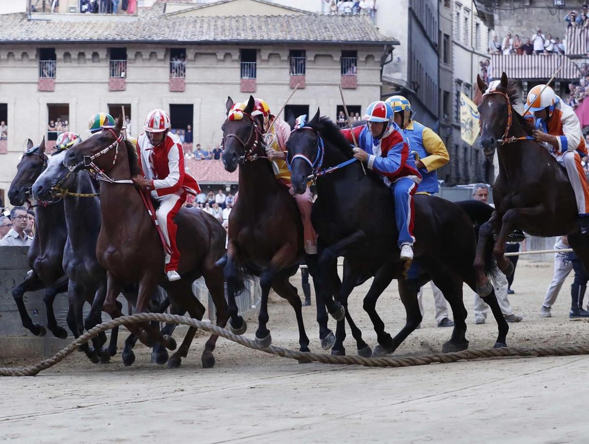 https://www.lanazione.it/image-service/view/acePublic/alias/contentid/ZmIyNzM0MGEtMDBhMy00/0/il-palio-una-storia-che-cambia-addio-al-mito-del-cavallo-campioni-solo-per-una-stagione.jpeg?f=1.91:1&w=1200