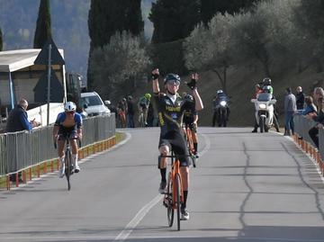 immagine articolo