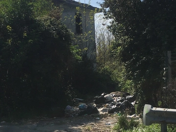 immagine articolo