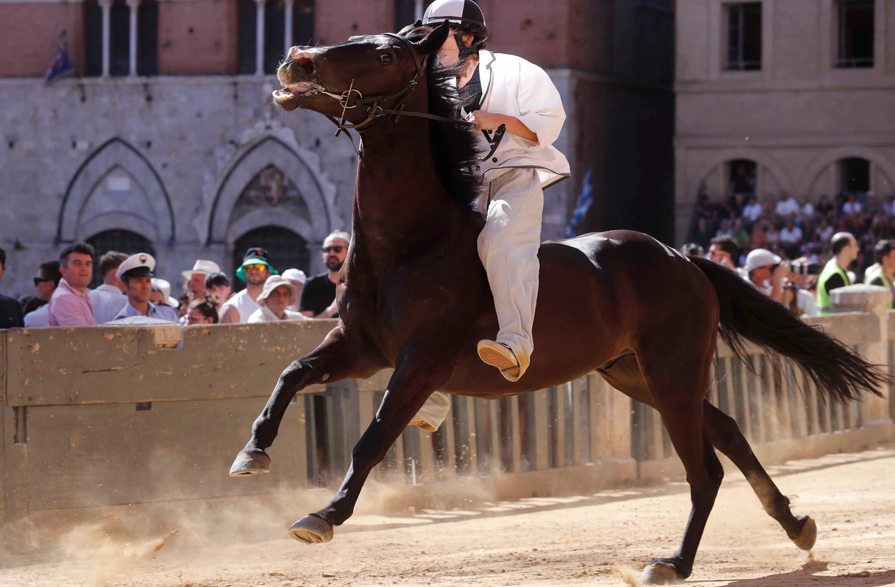 immagine di sfondo 14