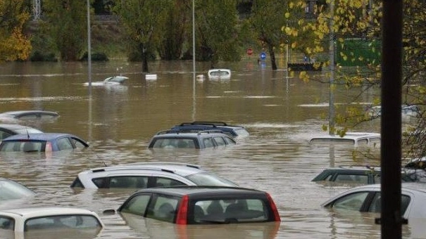 Attiva la ricognizione dei danni per i privati Attiva la ricognizione dei danni per i privati