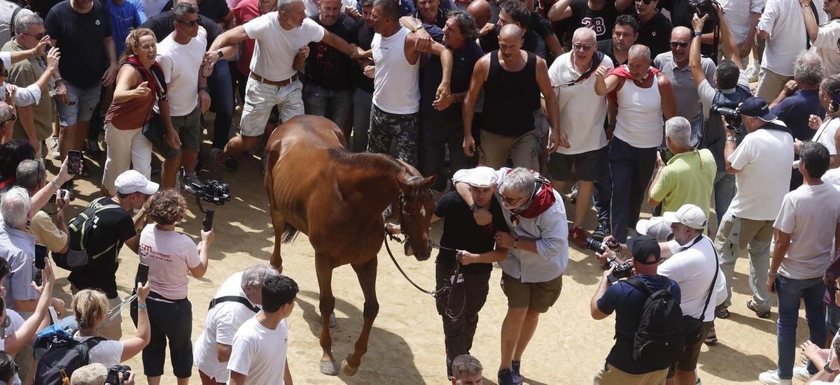 https://www.lanazione.it/image-service/view/acePublic/alias/contentid/ZmM2ODc4ZGUtNDdiNC00/0/verso-il-palio-di-siena-scompiglio-alla-civetta-per-sfidare-il-re-tittia.jpeg?f=1.91:1&w=1200