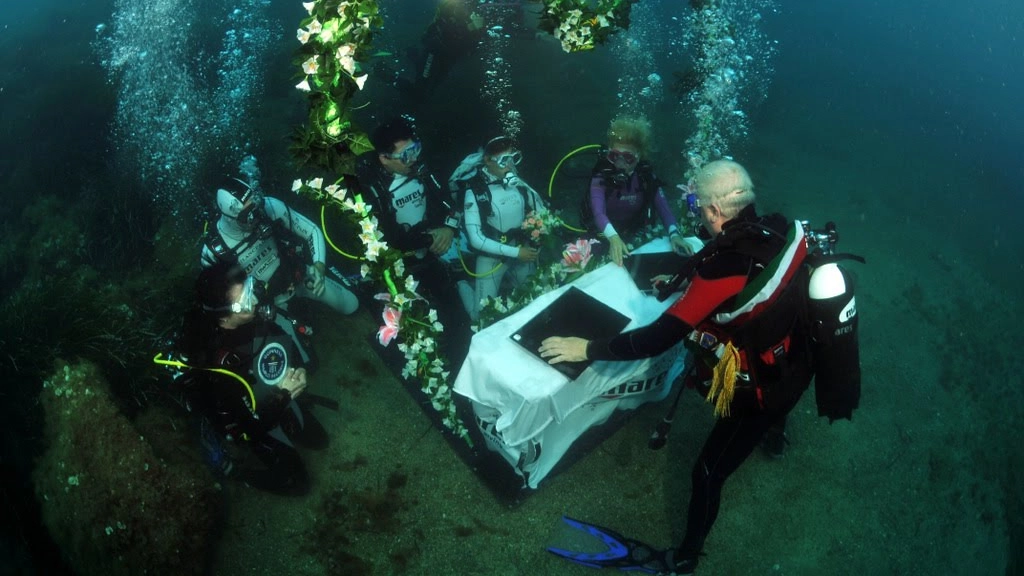Dieci idee per matrimoni fuori dal comune all'isola d'Elba
