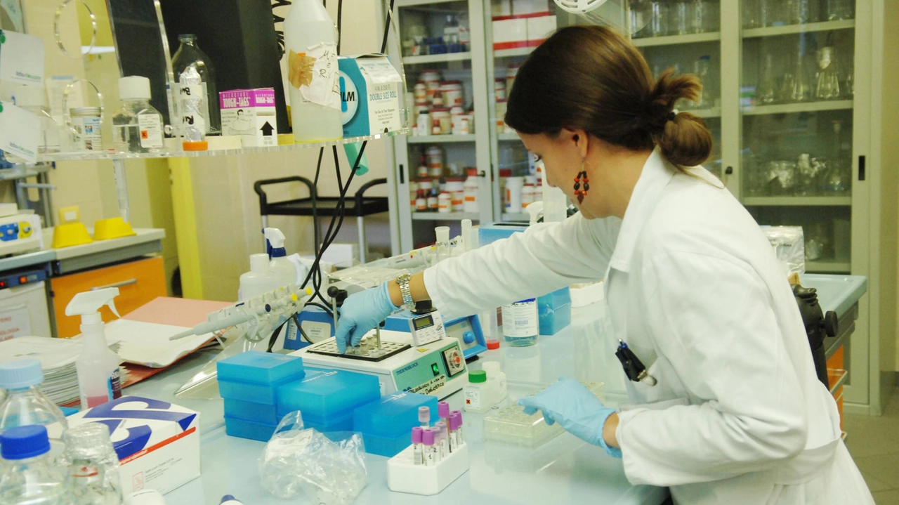 Ricercatori in prima linea per combattere la resistenza agli antibiotici nella cura delle infezioni Ricercatori in prima linea per combattere la resistenza agli antibiotici nella cura delle infezioni