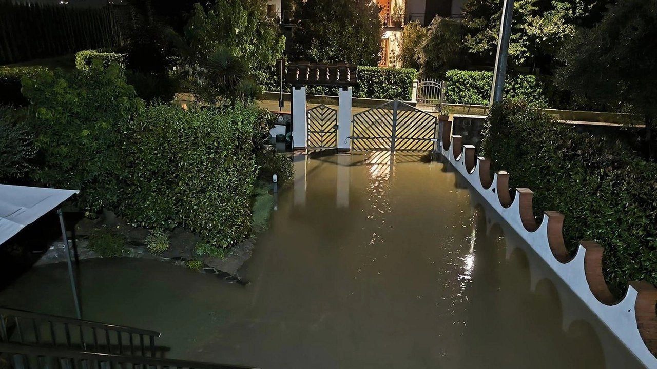 Impraticabile parte della via Vecchia Fiorentina, chiusa via Rubbattorno, invasa via Brana. Il racconto dei residenti: "Le fosse traboccavano: piene di vegetazione e tronchi d’albero". Impraticabile parte della via Vecchia Fiorentina, chiusa via Rubbattorno, invasa via Brana. Il racconto dei residenti: "Le fosse traboccavano: piene di vegetazione e tronchi d’albero".