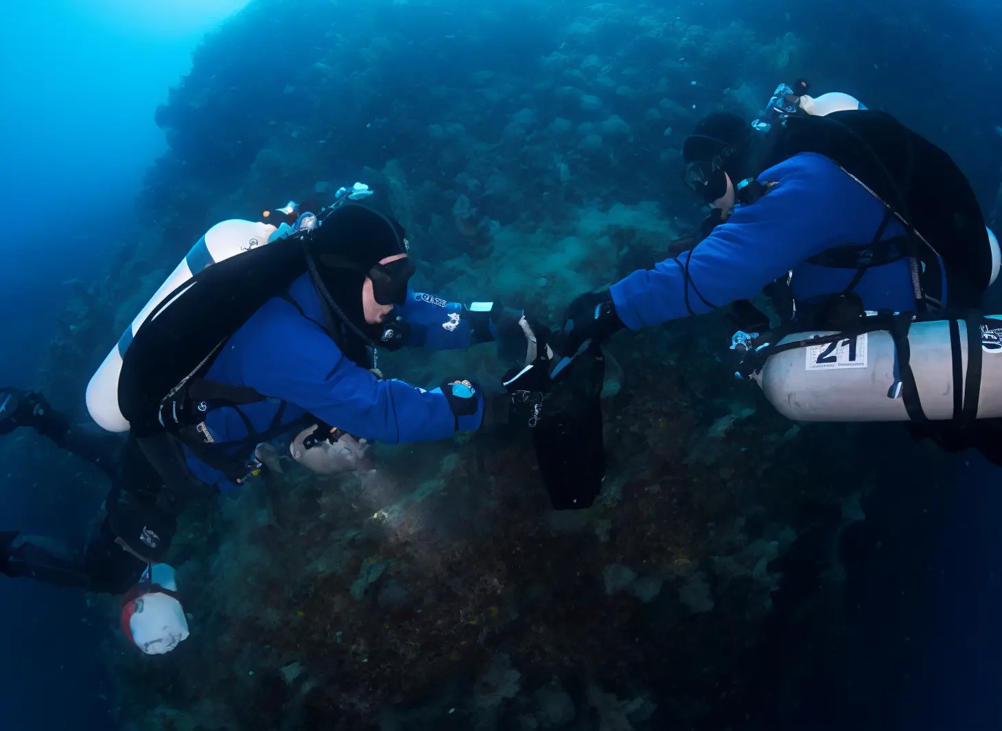 La tutela dell’ambiente marino. Rimossa un’altra ’rete fantasma’. Era lunga cinquanta metri
