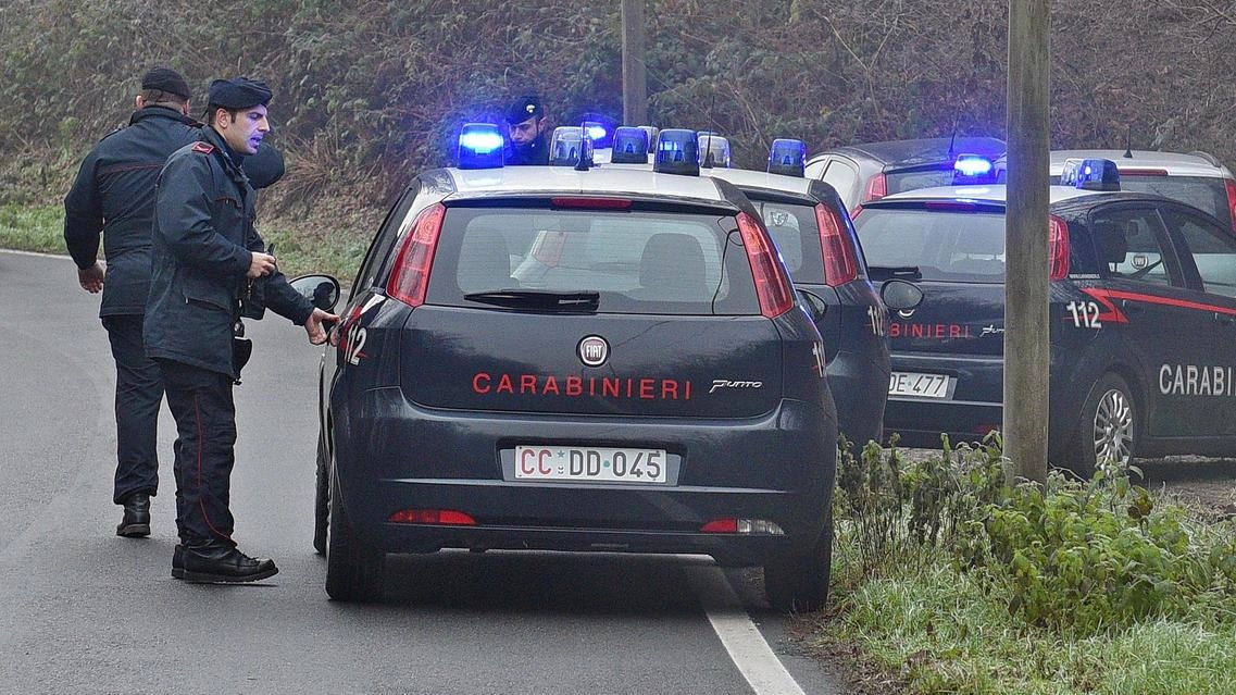 In campo i carabinieri della compagnia di San Miniato coadiuvati dal Nucleo Forestale di Calci In campo i carabinieri della compagnia di San Miniato coadiuvati dal Nucleo Forestale di Calci