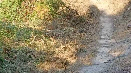 Gli interventi, iniziati ad agosto, sono frutto di un accordo tra Comune e Parco Gli interventi, iniziati ad agosto, sono frutto di un accordo tra Comune e Parco