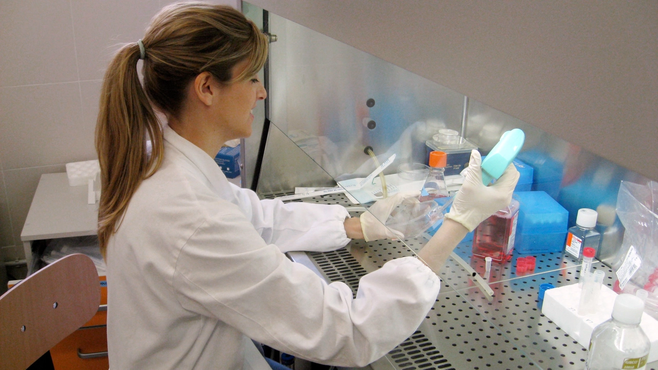 Un laboratorio