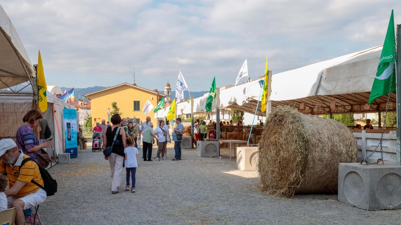 L’area eventi del Foro Boario di Borgo L’area eventi del Foro Boario di Borgo