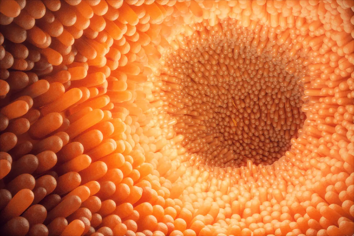 Intestino e cervello: il ruolo cruciale del microbioma nelle malattie neurologiche