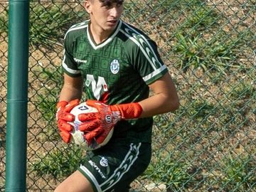 immagine articolo