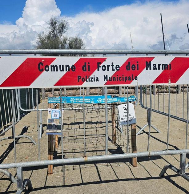 Nido di targaruga marina. Chiusa la spiaggia Le Dune. Ecco tutti i divieti previsti Nido di targaruga marina. Chiusa la spiaggia Le Dune. Ecco tutti i divieti previsti
