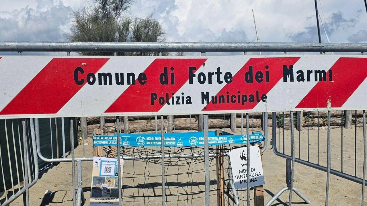 Ordinanza per la. chiusura di una porzione di spiaggia libera “Le Dune” in vista della schiusa di un nido di tartarughe marine Ordinanza per la. chiusura di una porzione di spiaggia libera “Le Dune” in vista della schiusa di un nido di tartarughe marine