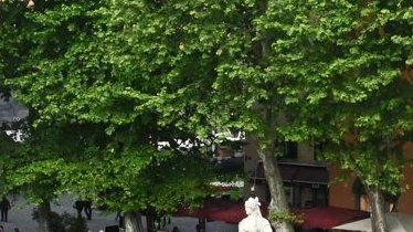 "Le panchine previste nei pressi del monumento a Maria Luisa di Borbone in piazza Napoleone? Sono un modo per valorizzare... "Le panchine previste nei pressi del monumento a Maria Luisa di Borbone in piazza Napoleone? Sono un modo per valorizzare...