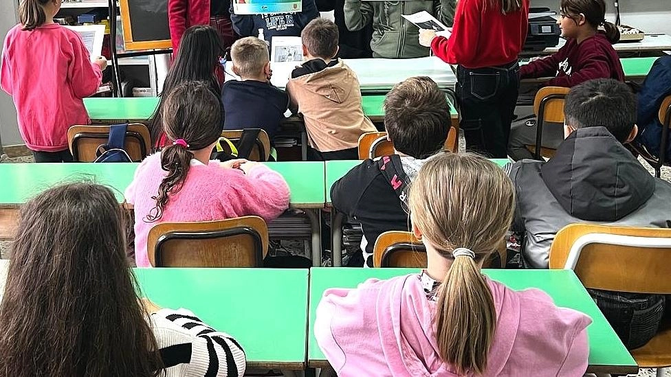 Le lezioni dovrebbero prendere il via entro la fine di luglio. Ecco come funzionano Le lezioni dovrebbero prendere il via entro la fine di luglio. Ecco come funzionano