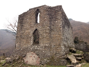 immagine articolo