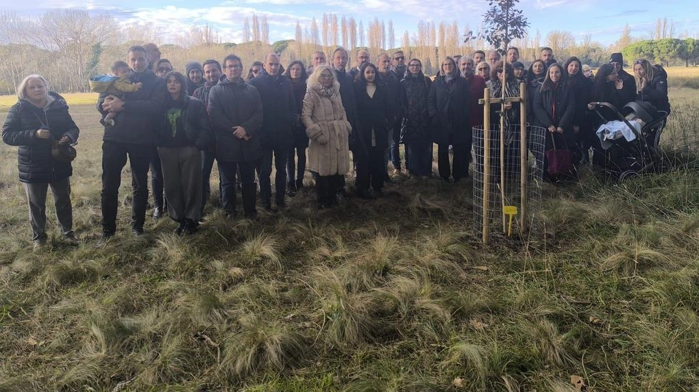 Familiari, amici e colleghi. hanno piantato un leccio sul viale dei Legami: ricordo di. Andrea Pardini, giovane giornalista di 50 Canale scomparso un anno fa Familiari, amici e colleghi. hanno piantato un leccio sul viale dei Legami: ricordo di. Andrea Pardini, giovane giornalista di 50 Canale scomparso un anno fa