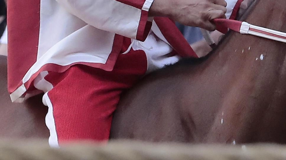 Il fantino Gabriele Puligheddu, noto come Granito, è stato escluso dal Palio dell’Assunta a Siena per non essersi presentato alla prova dei cavalli come richiesto dal regolamento. Il fantino Gabriele Puligheddu, noto come Granito, è stato escluso dal Palio dell’Assunta a Siena per non essersi presentato alla prova dei cavalli come richiesto dal regolamento.