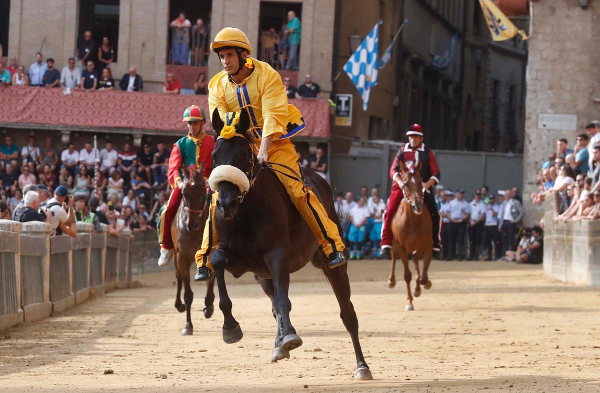https://www.lanazione.it/image-service/view/acePublic/alias/contentid/ZmRkZDVmMGItNmVjZi00/0/la-seconda-prova-del-palio-foto-paolo-lazzeroni.jpeg?f=1.91:1&w=1200